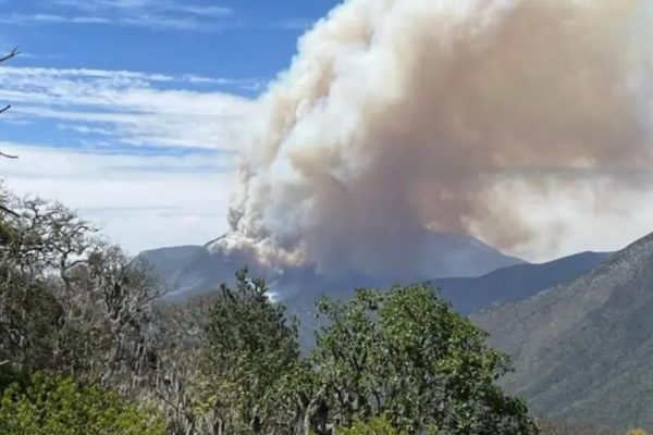 INCENDIO FORESTAL NUEVO LEÓN