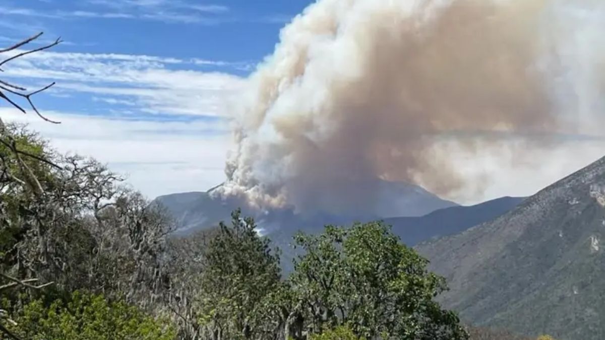 INCENDIO FORESTAL NUEVO LEÓN