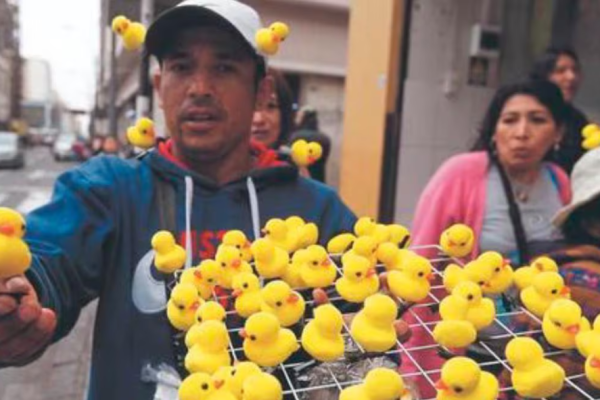 PATITOS MONTERREY NUEVO LEÓN