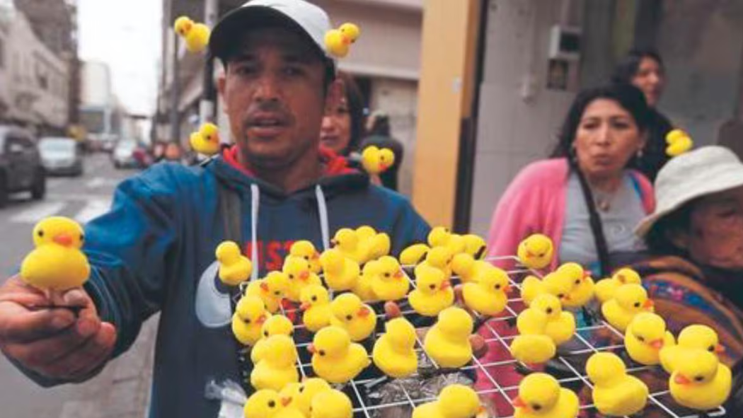 PATITOS MONTERREY NUEVO LEÓN