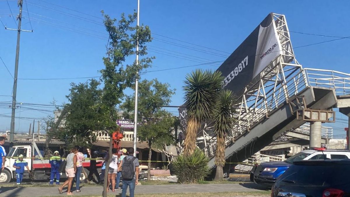 PUENTE PEATONAL SAN NICOLÁS